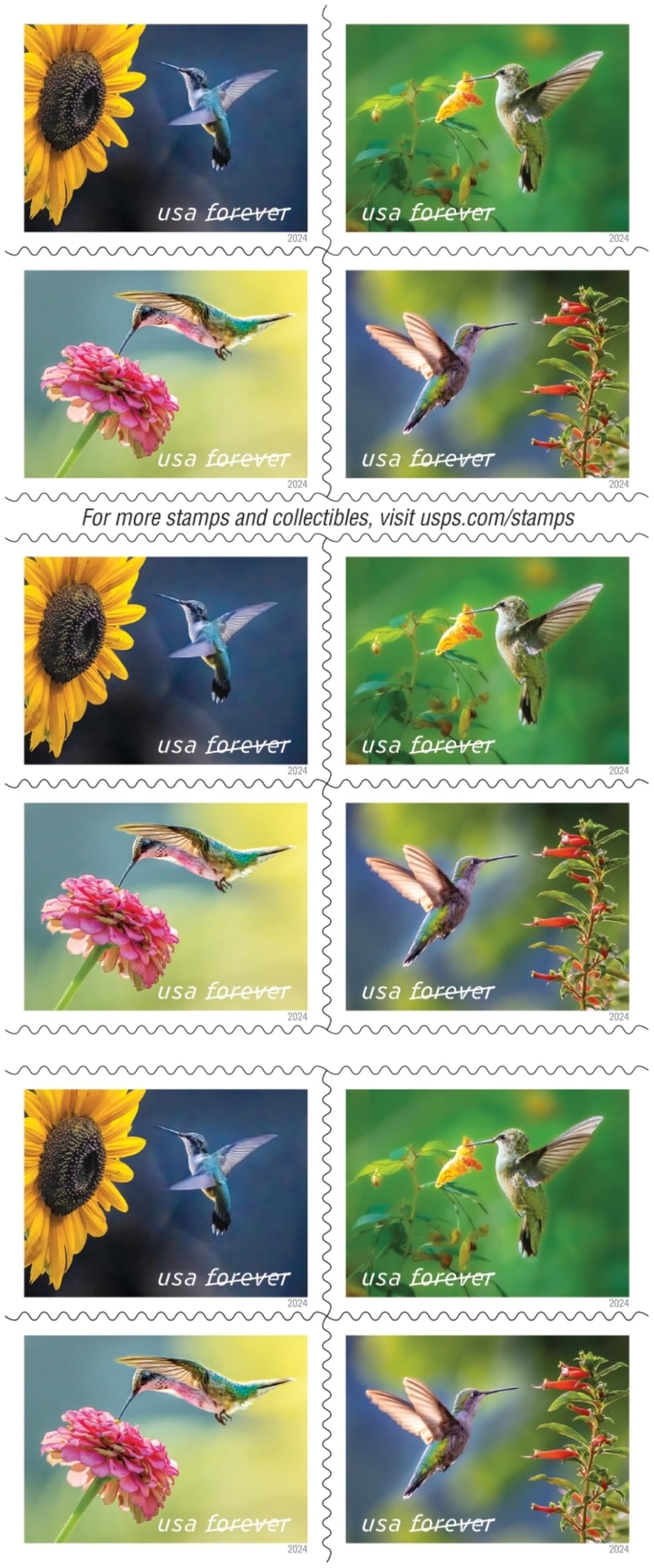 United States Postal Service spotted touch-me-not stamp image emphasizing natural garden charm