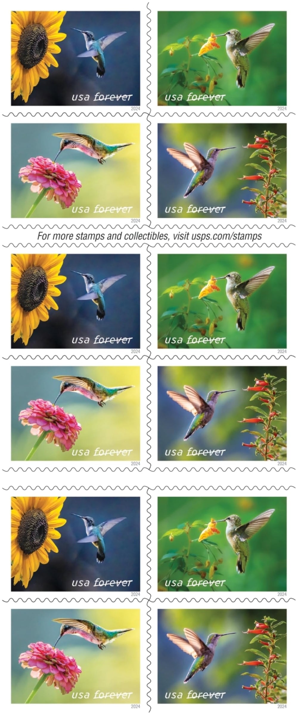 United States Postal Service spotted touch-me-not stamp image emphasizing natural garden charm