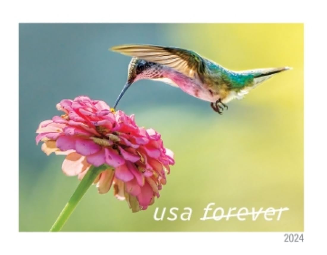 United States Postal Service stamp backs showing adhesive gum and preservation considerations