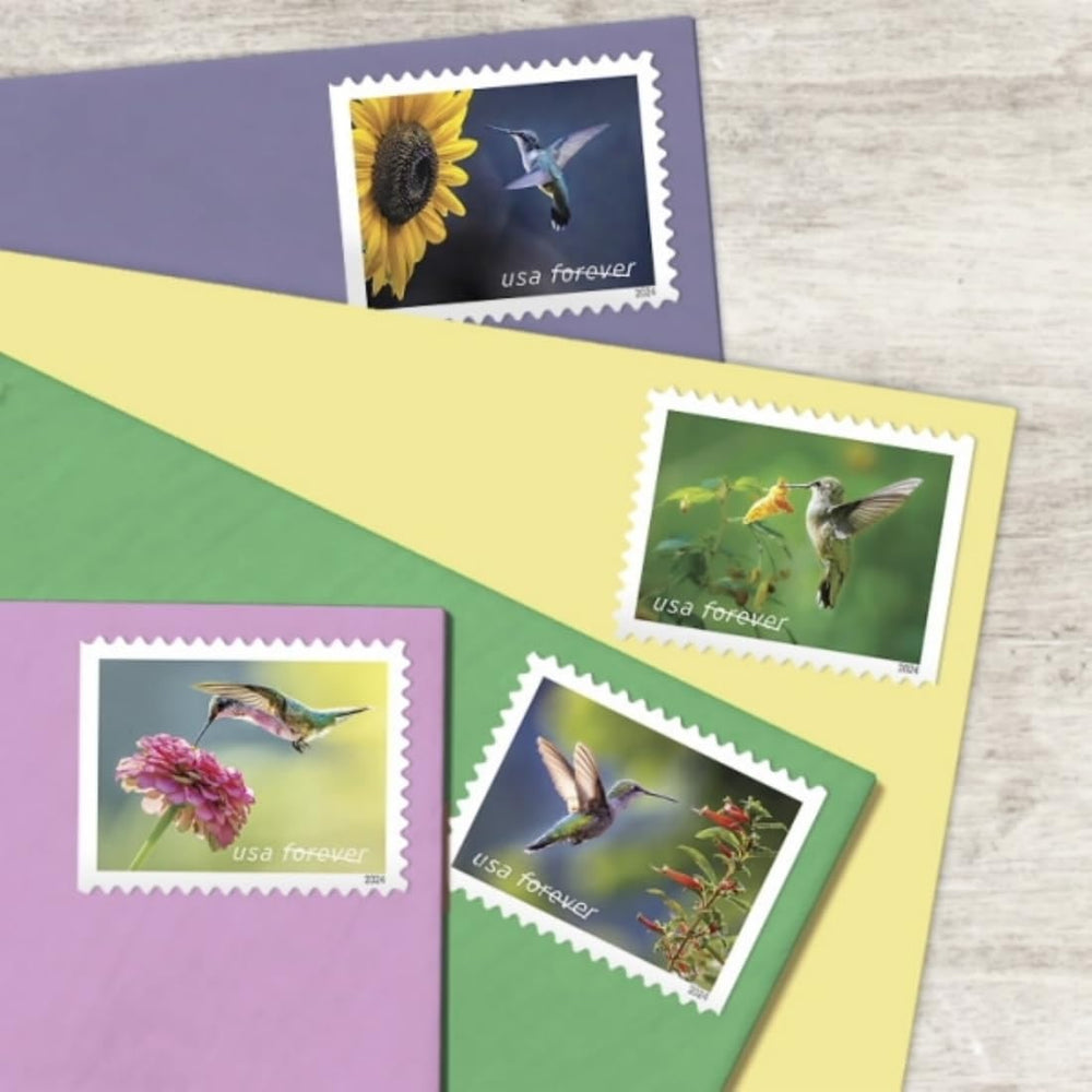 United States Postal Service zinnia and hummingbird close-up showcasing vibrant detail and collectible appeal