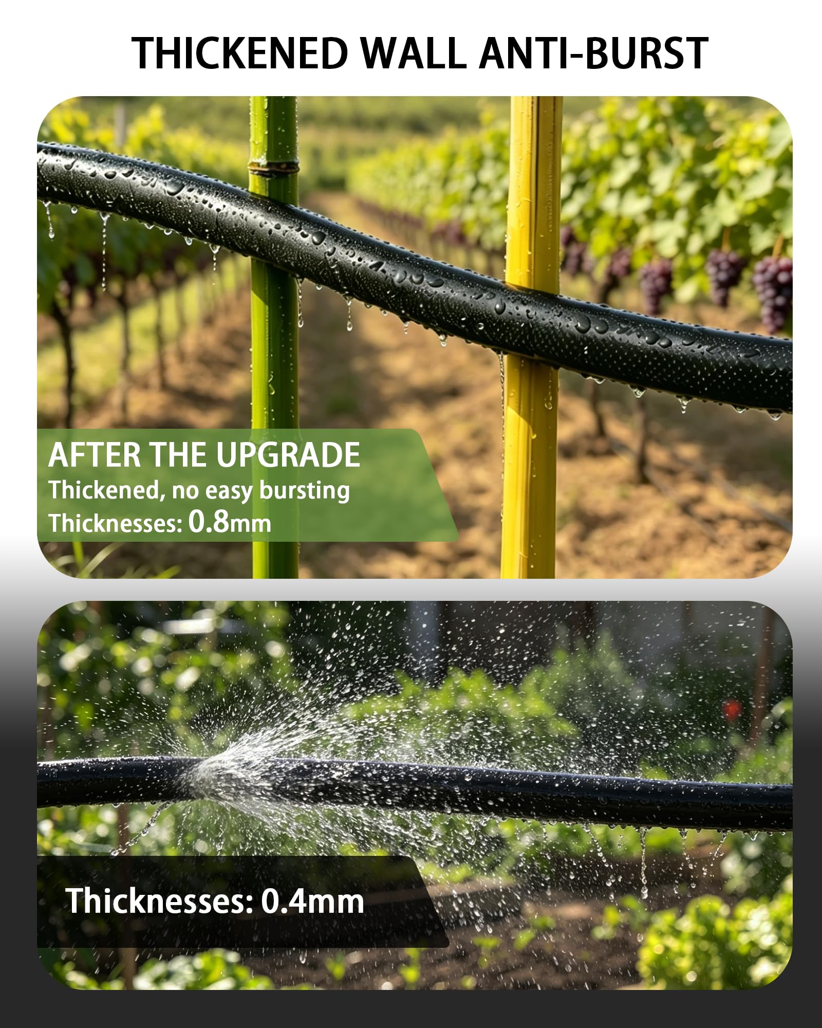 Vantigreen coiled hose next to ruler showing compact storage size