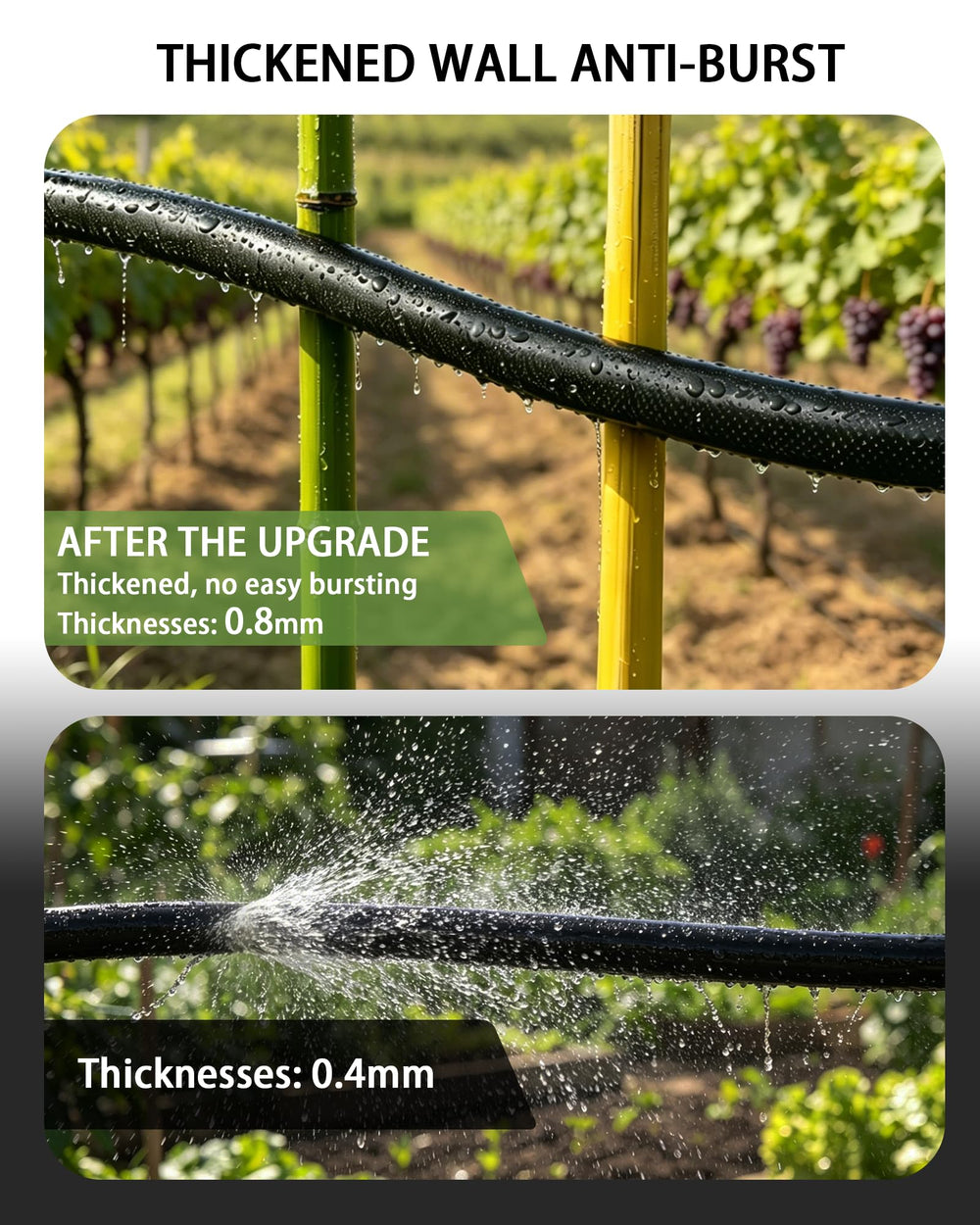 Vantigreen coiled hose next to ruler showing compact storage size