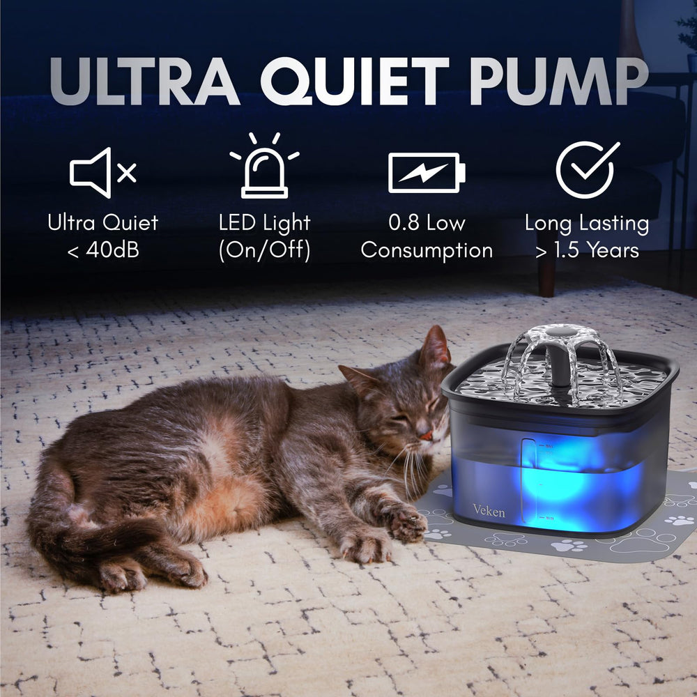 Veken fountain on kitchen counter encouraging pet hydration benefit