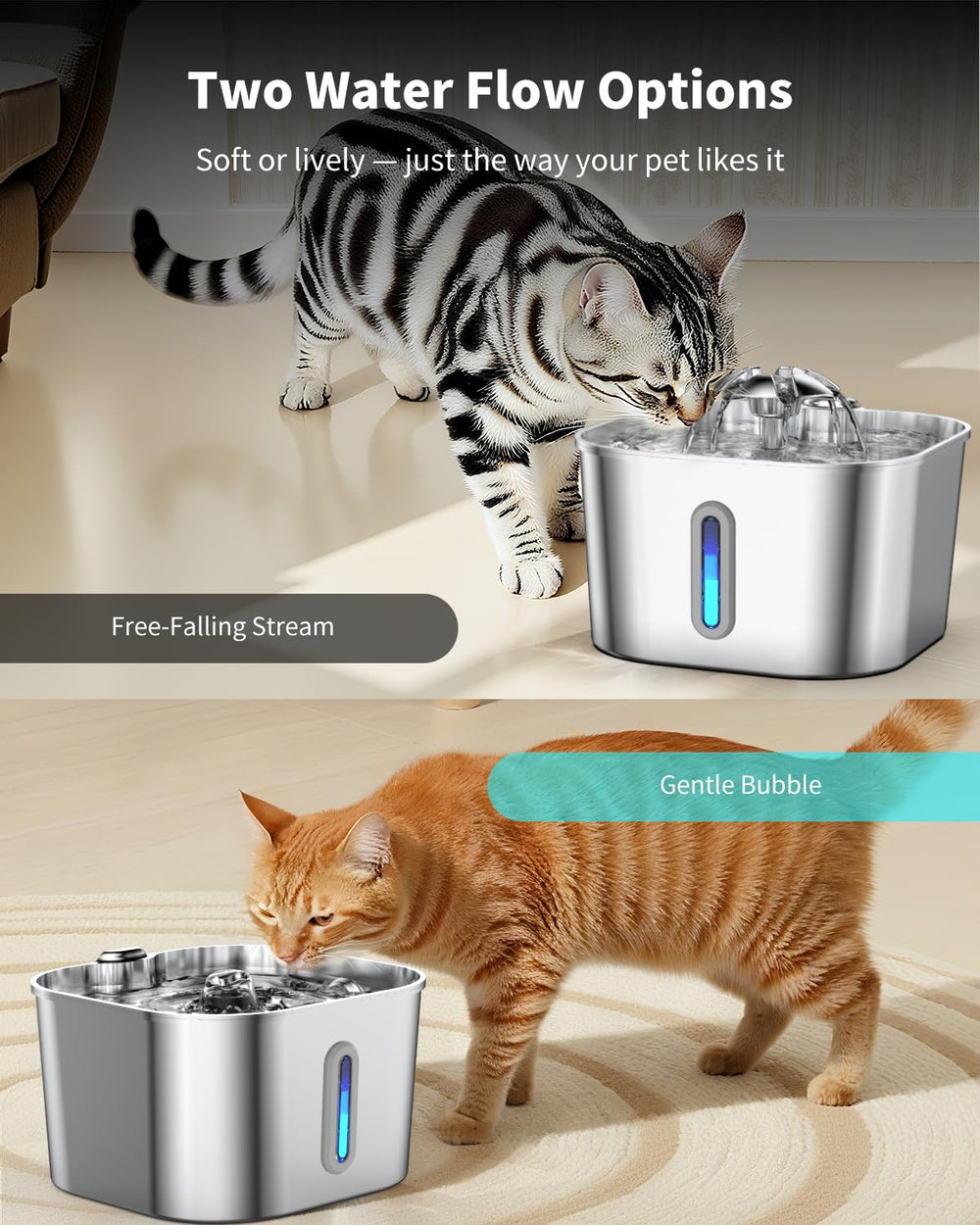 Vekonn fountain placed in kitchen showing convenience and tidy style