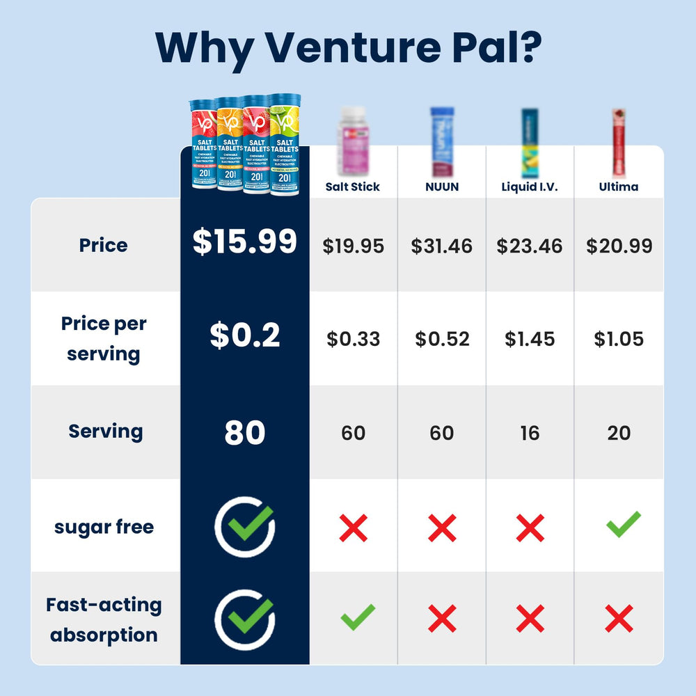 Venture Pal tablets close-up on surface, clear tablet detail and portability