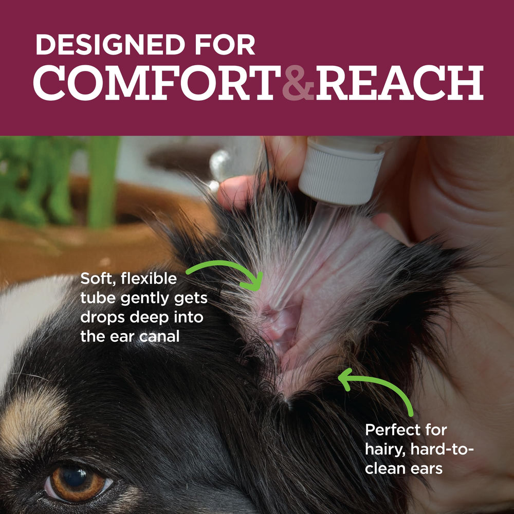 Pet owner applying Vetality to dog ear demonstrating home relief