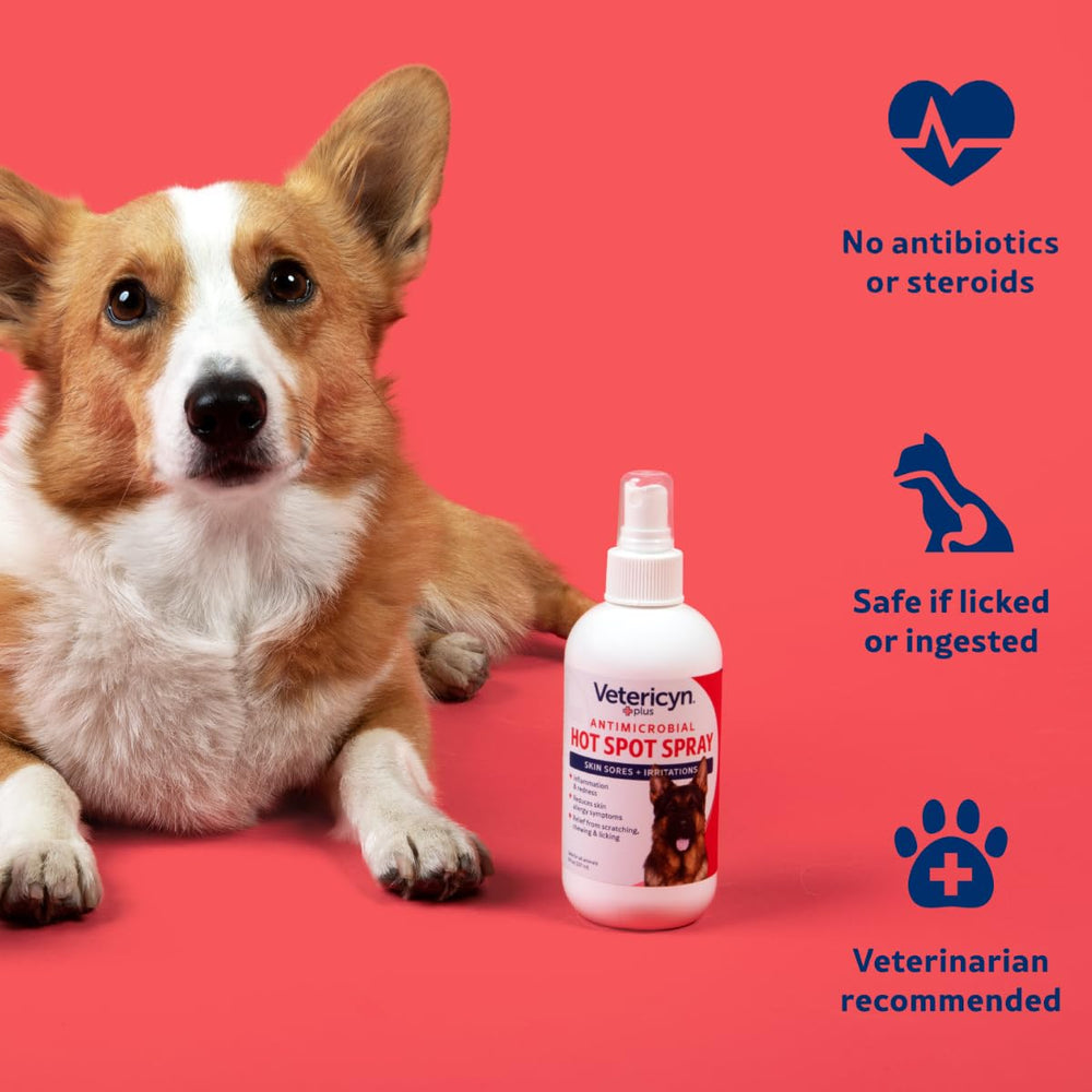 Pet owner applying Vetericyn outdoors showing convenient on-the-go care