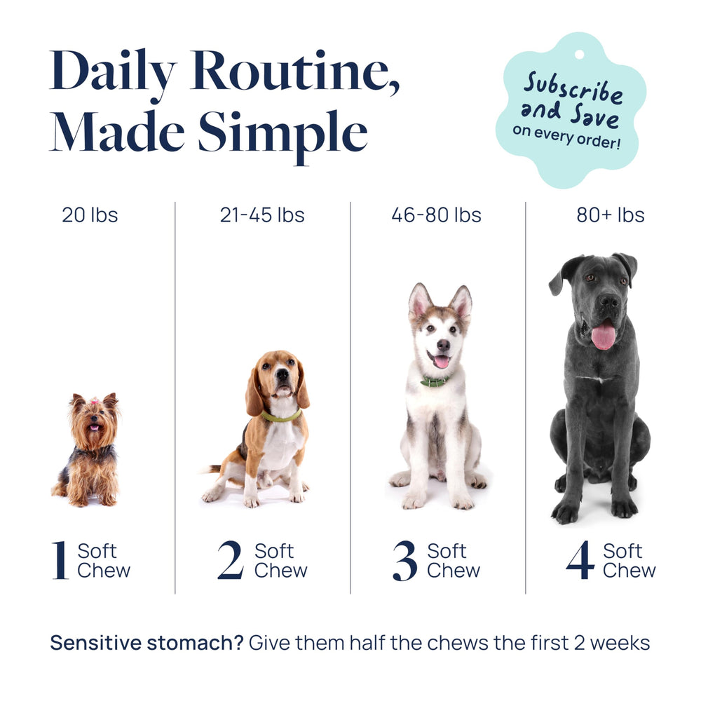 Veterinary Formula dog eating chew showcasing acceptance and ease of giving