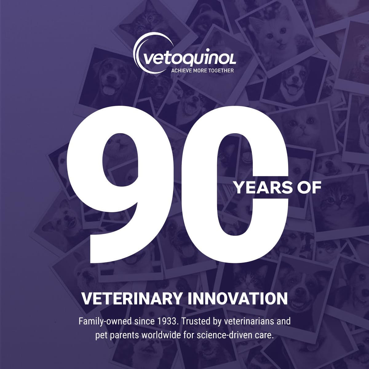 Cat eating Vetoquinol Flexadin Advanced chew illustrating cross-species suitability