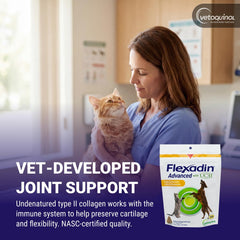 Vetoquinol Flexadin Advanced chew next to coin for size comparison and dosing clarity
