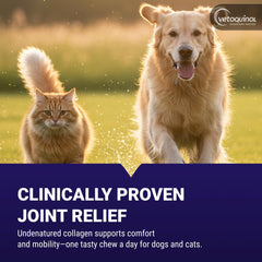 Vetoquinol Flexadin Advanced chews close-up displaying texture and chewable form