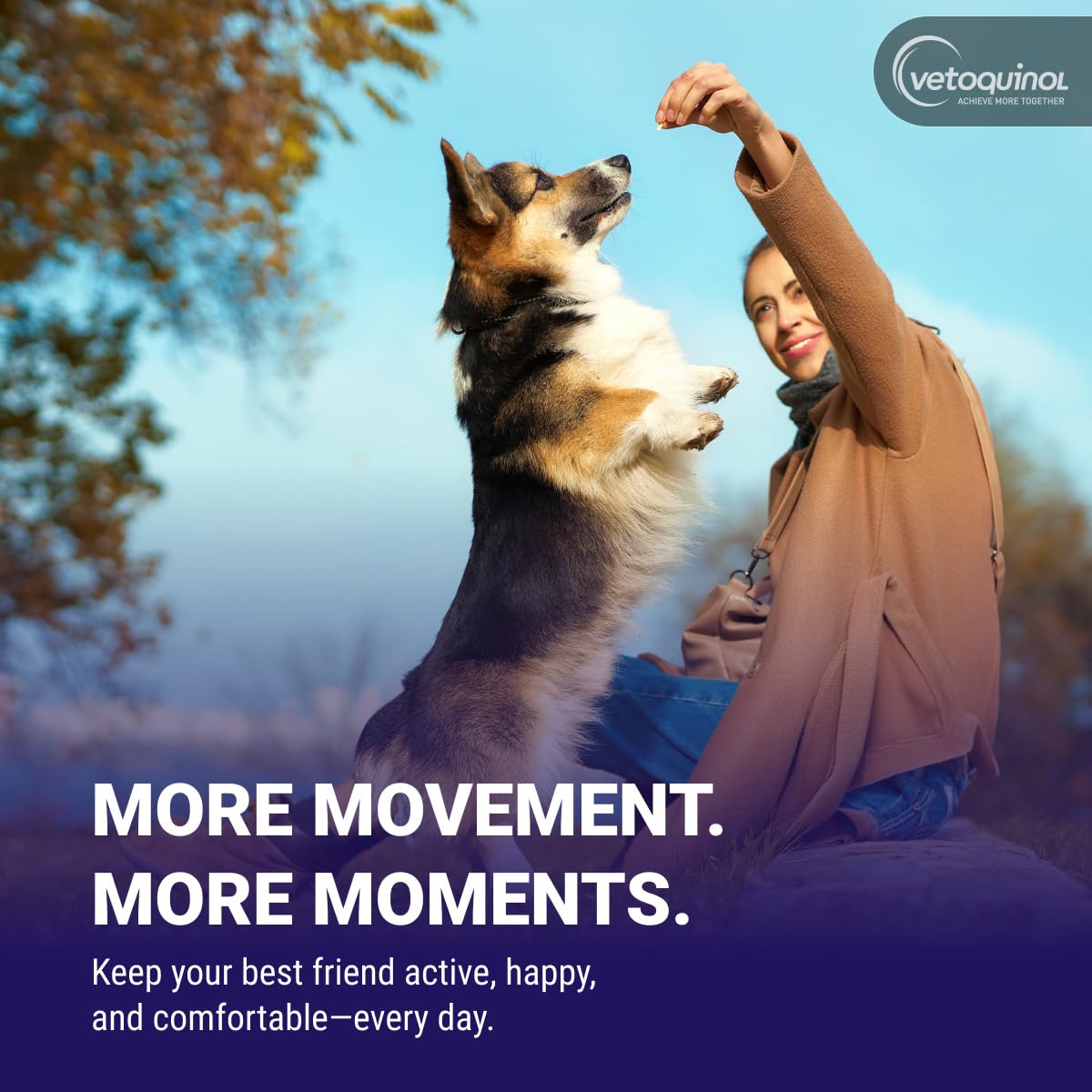 Active dog in park with Vetoquinol Flexadin Advanced suggesting mobility support
