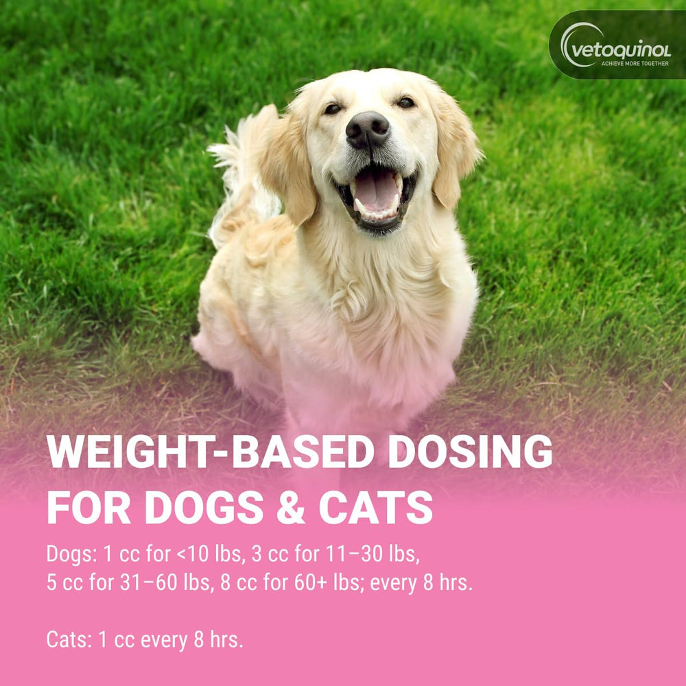 Vetoquinol Pro-Pectalin being given to a dog demonstrating simple administration