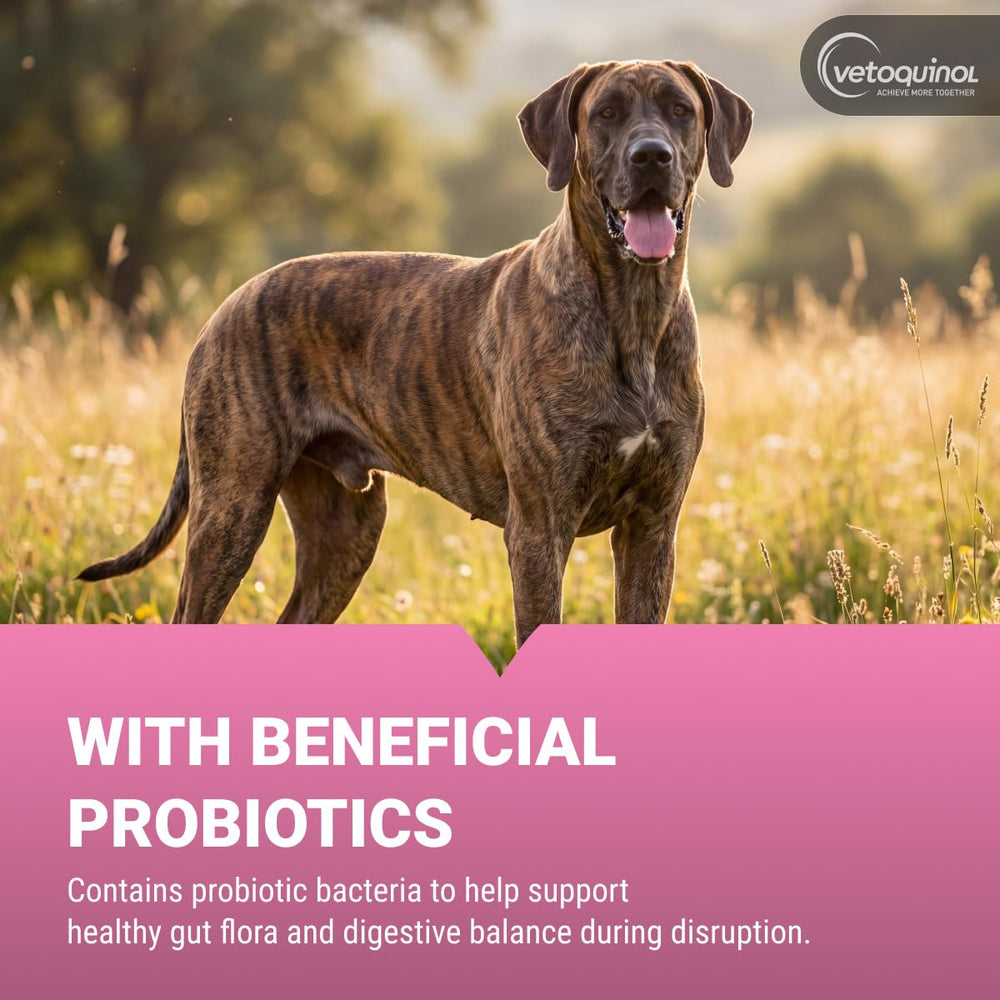 Vetoquinol Pro-Pectalin label details displaying ingredient and dosing info