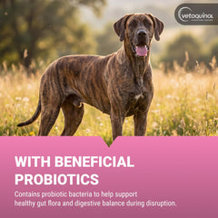 Vetoquinol Pro-Pectalin label details displaying ingredient and dosing info