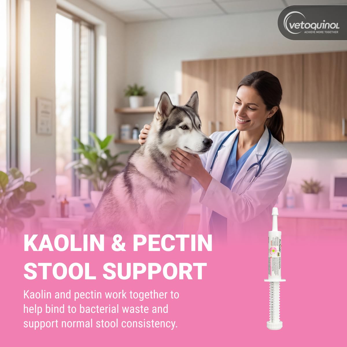 Vetoquinol Pro-Pectalin paste texture highlighting smooth, palatable formula