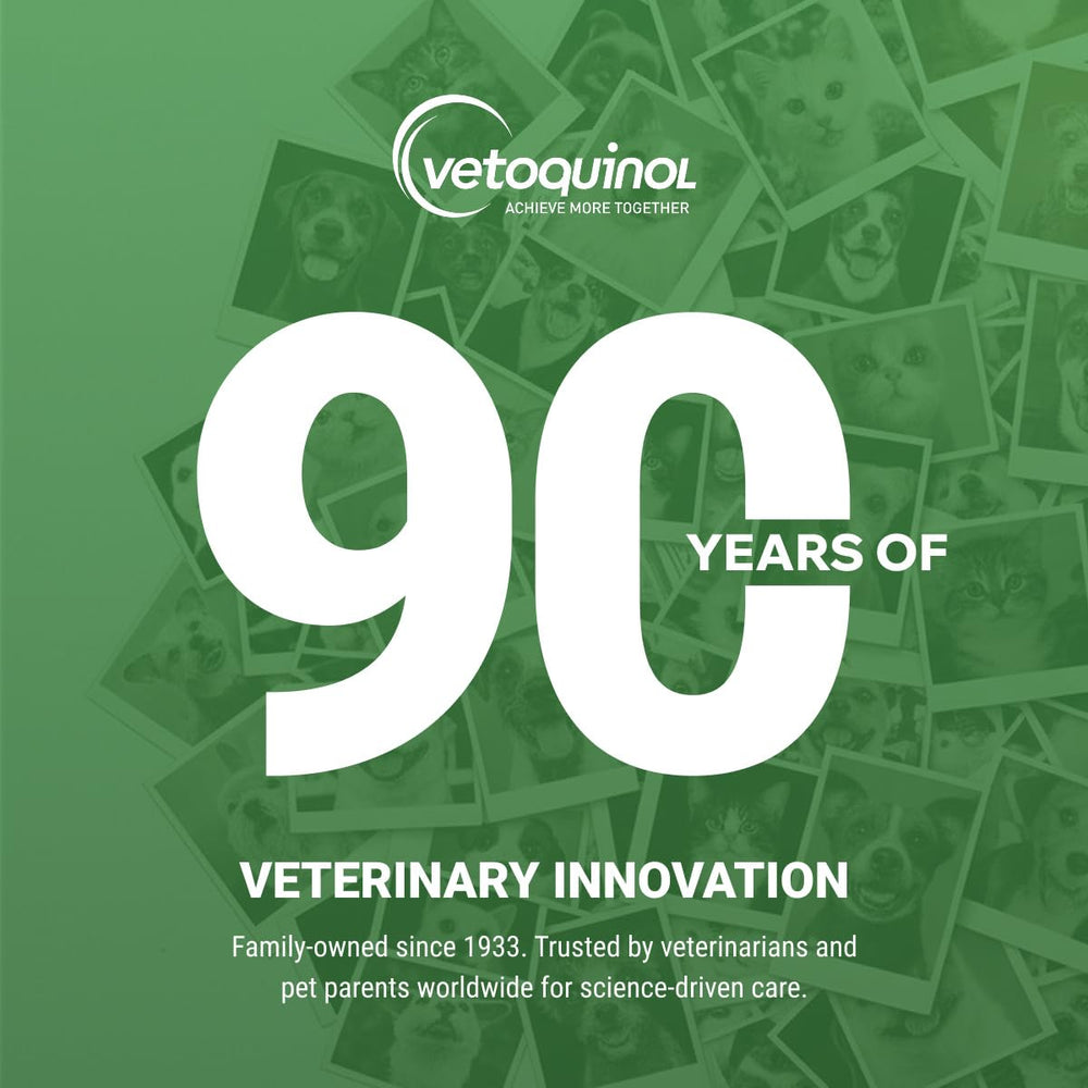 Vetoquinol Viralys adult cat eating showing acceptance and everyday use benefit