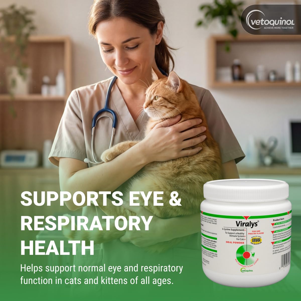 Vetoquinol Viralys mixed into wet food demonstrating effortless feeding and acceptance