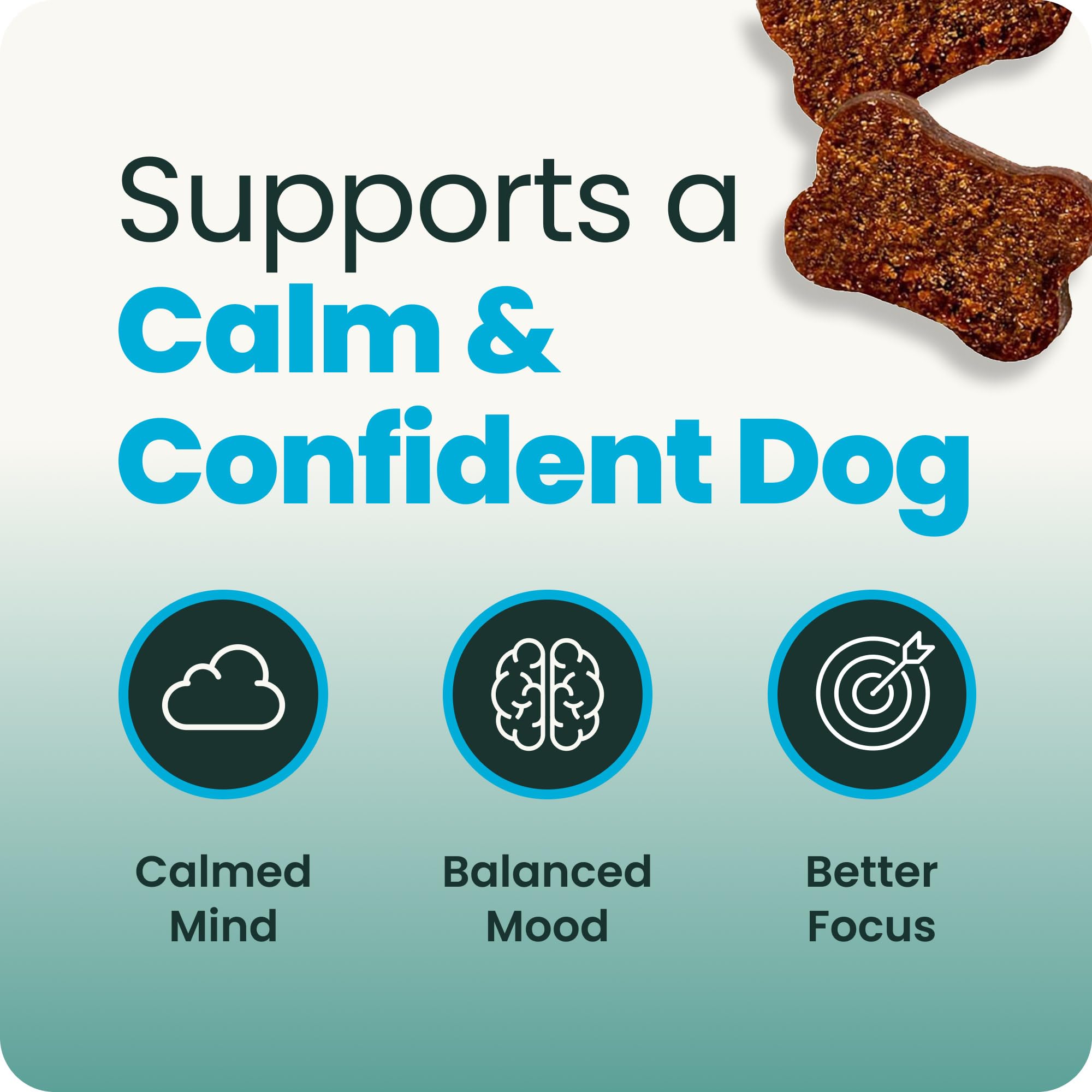 VetriScience chews in hand demonstrating chew size and easy dose control