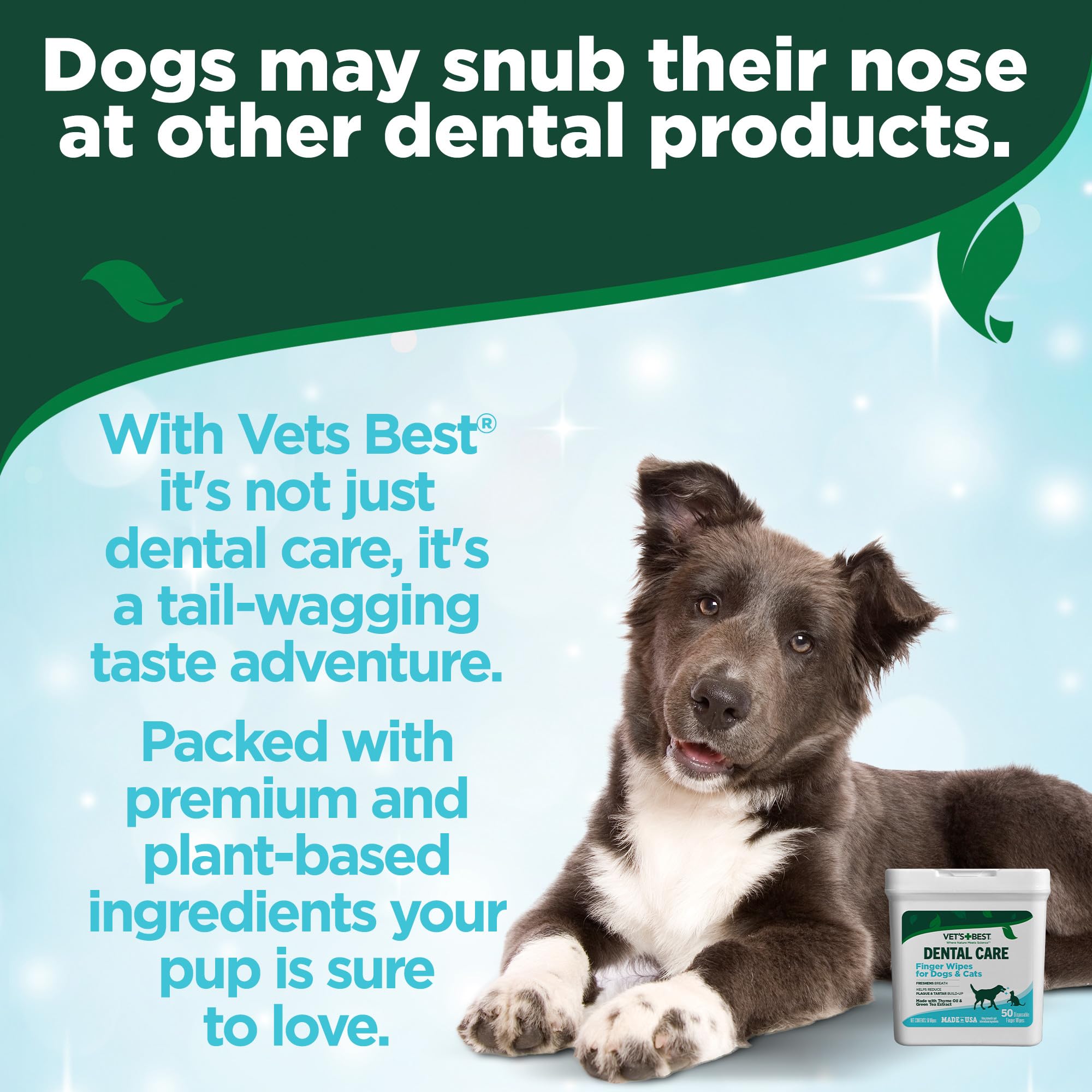 Vet's Best wipes arranged with toothpaste and brush to support routine