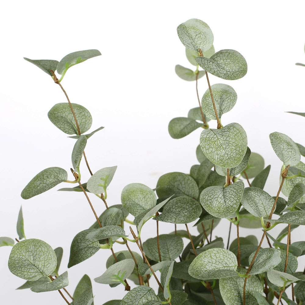 VGIA eucalyptus stems arranged in a vase to display styling and décor use