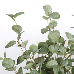 VGIA eucalyptus stems arranged in a vase to display styling and décor use