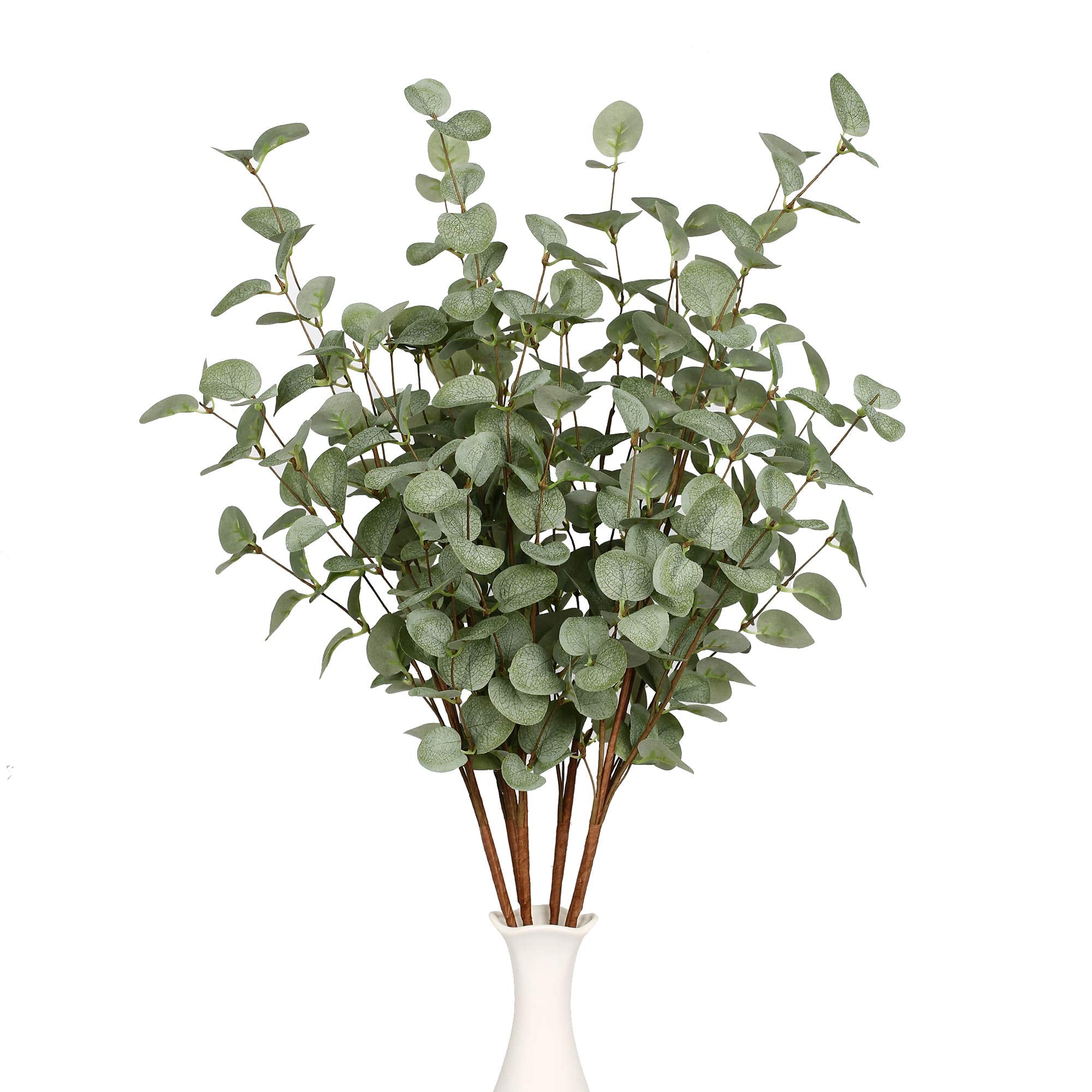 VGIA eucalyptus stems beside a ruler showing 27-inch length and scale