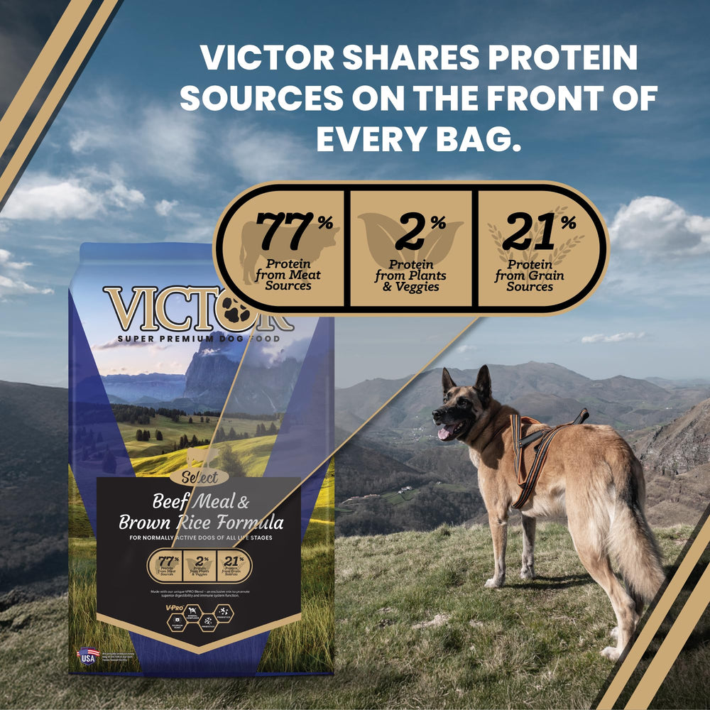 VICTOR 40 lb bag beside scale illustrating portion and size benefit