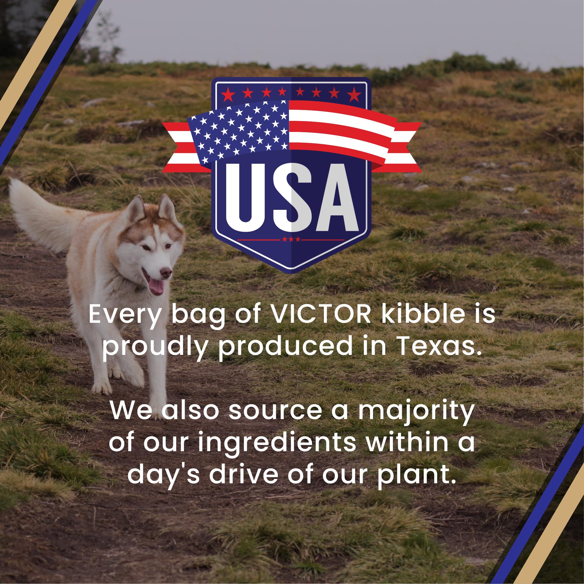 VICTOR kibble with supplements showing VPRO Blend and health support benefit