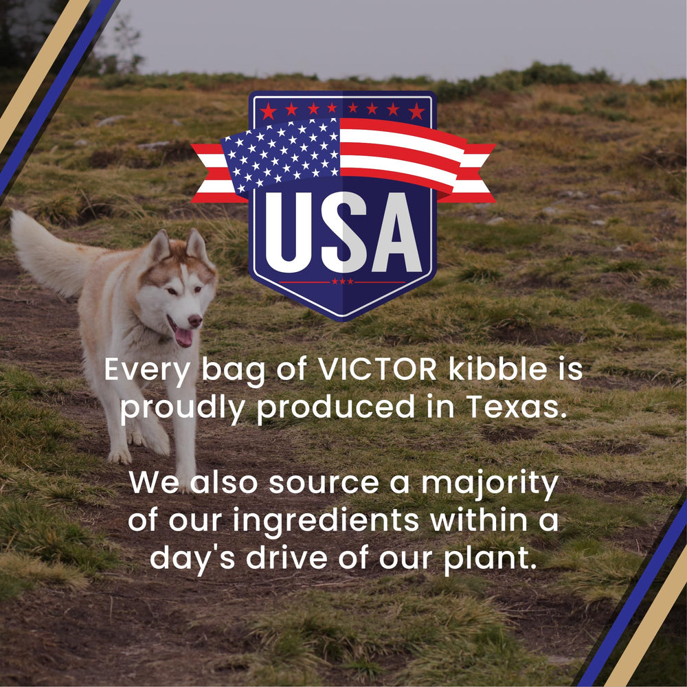 VICTOR kibble with supplements showing VPRO Blend and health support benefit