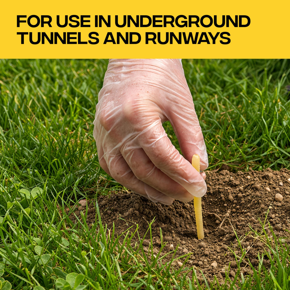 Victor worm placed inside underground tunnel demonstrating correct bait placement