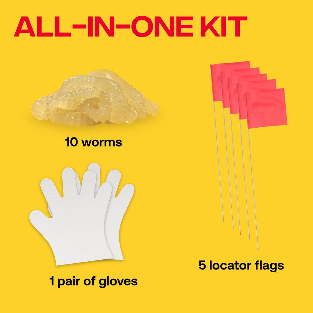 Victor pack beside a ruler for size comparison to show worm dimensions and count