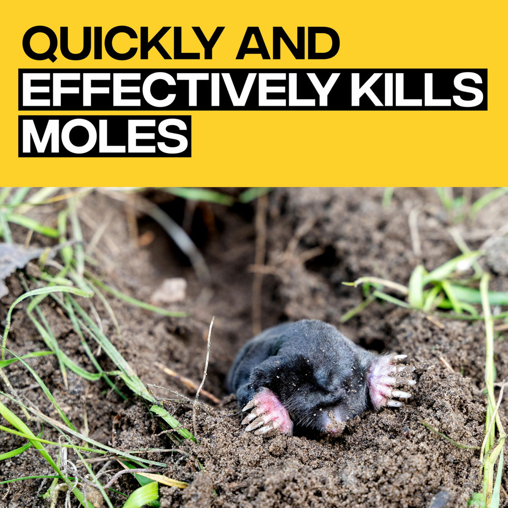 Victor moleworms close-up showing lifelike shape and texture to attract moles effectively