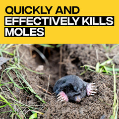 Victor moleworms close-up showing lifelike shape and texture to attract moles effectively