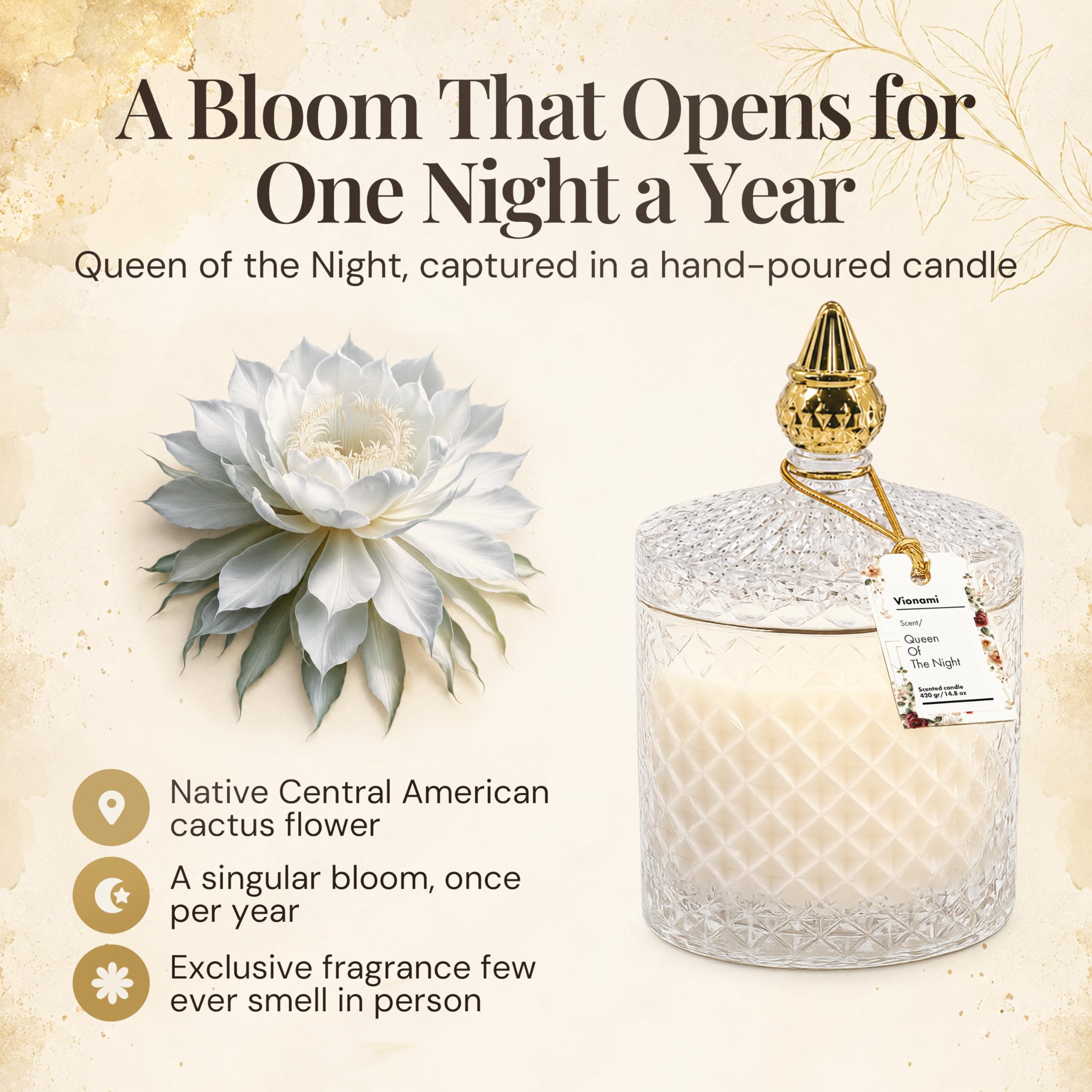 VIONAMI diamond-cut glass jar detail highlighting reusable luxury design and decor benefit