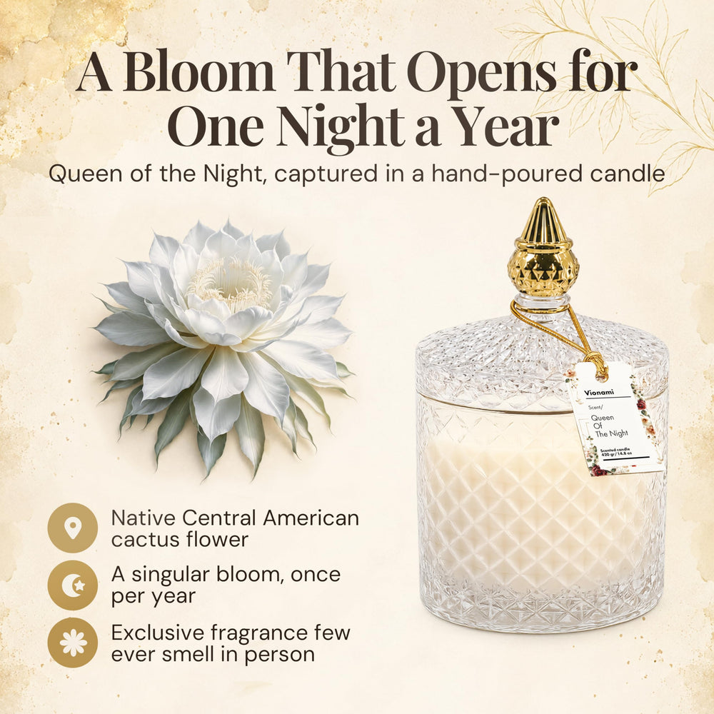 VIONAMI diamond-cut glass jar detail highlighting reusable luxury design and decor benefit