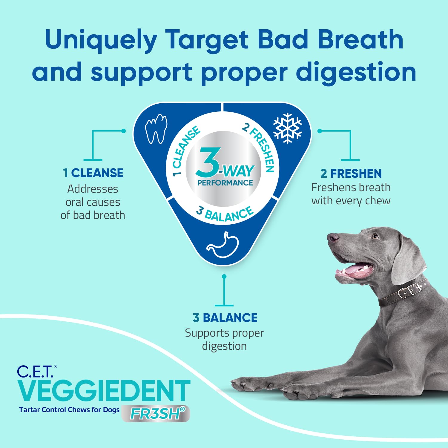 Virbac medium dog chewing a Veggiedent Fr3sh chew demonstrating cleaning action
