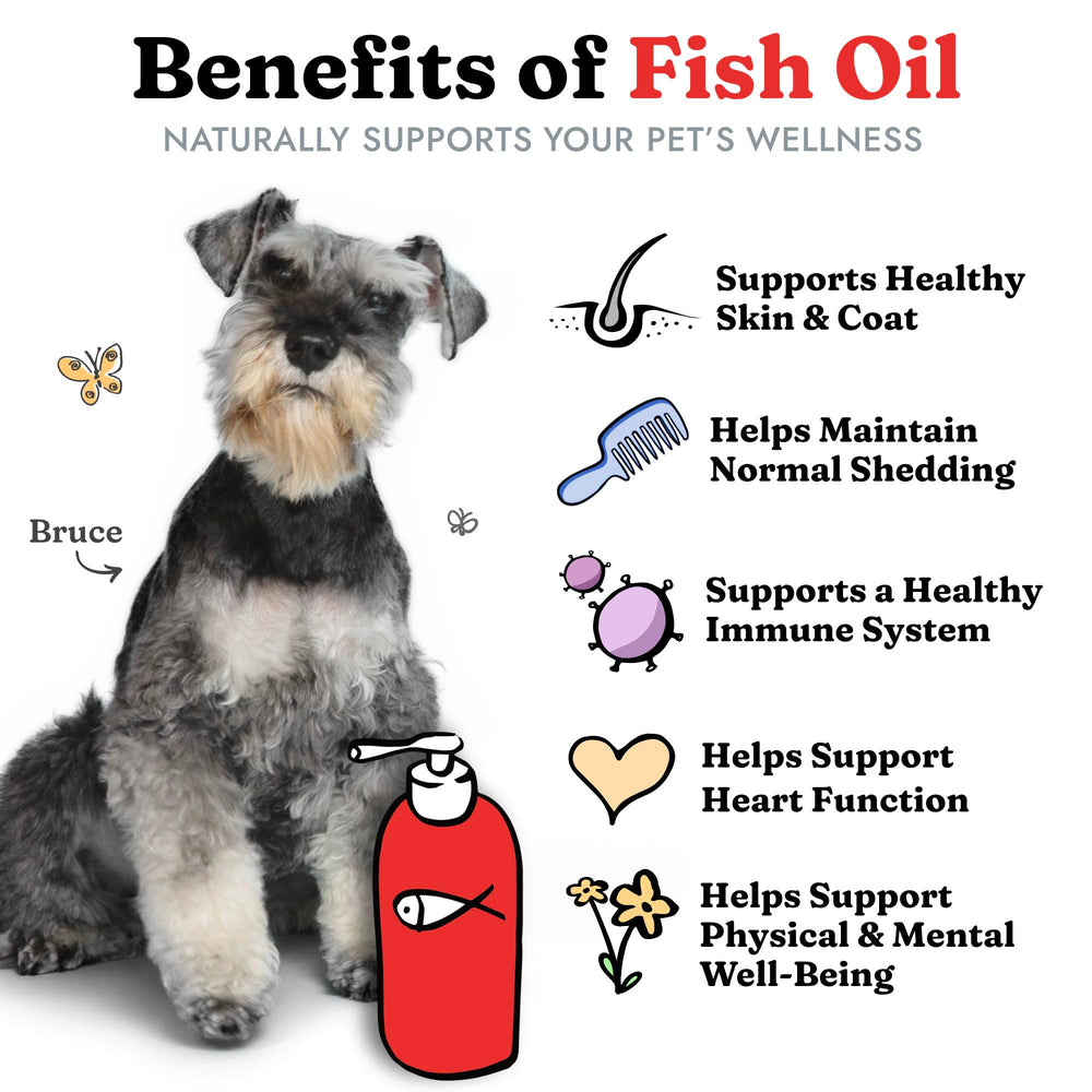 Vital Pet Life being poured into a dog food bowl for easy daily supplementation