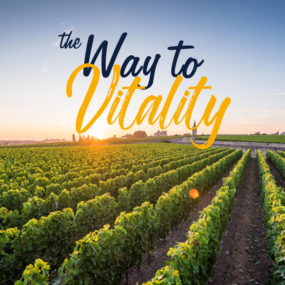 Vitalitown product label and supplement facts panel for transparency and ingredient clarity