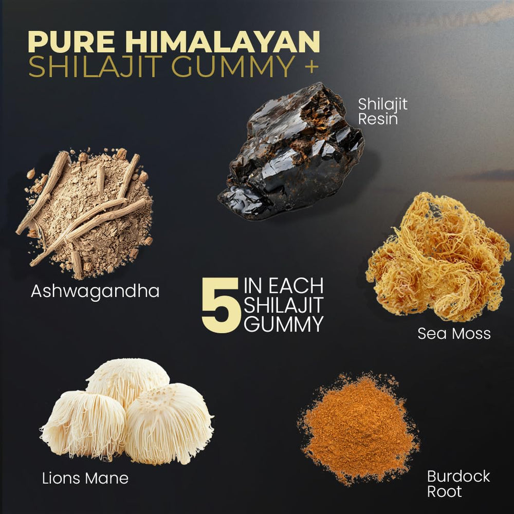 Arrangement of shilajit resin, sea moss and herbs representing Vitamax natural ingredient blend
