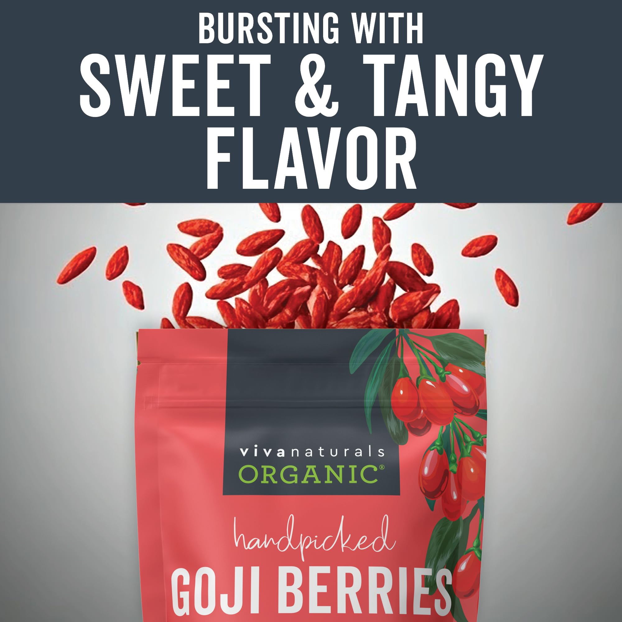 Viva Naturals goji berries in a bowl on counter ready for snacking