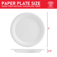 VPACKDUO close-up of bagasse texture highlighting durable surface