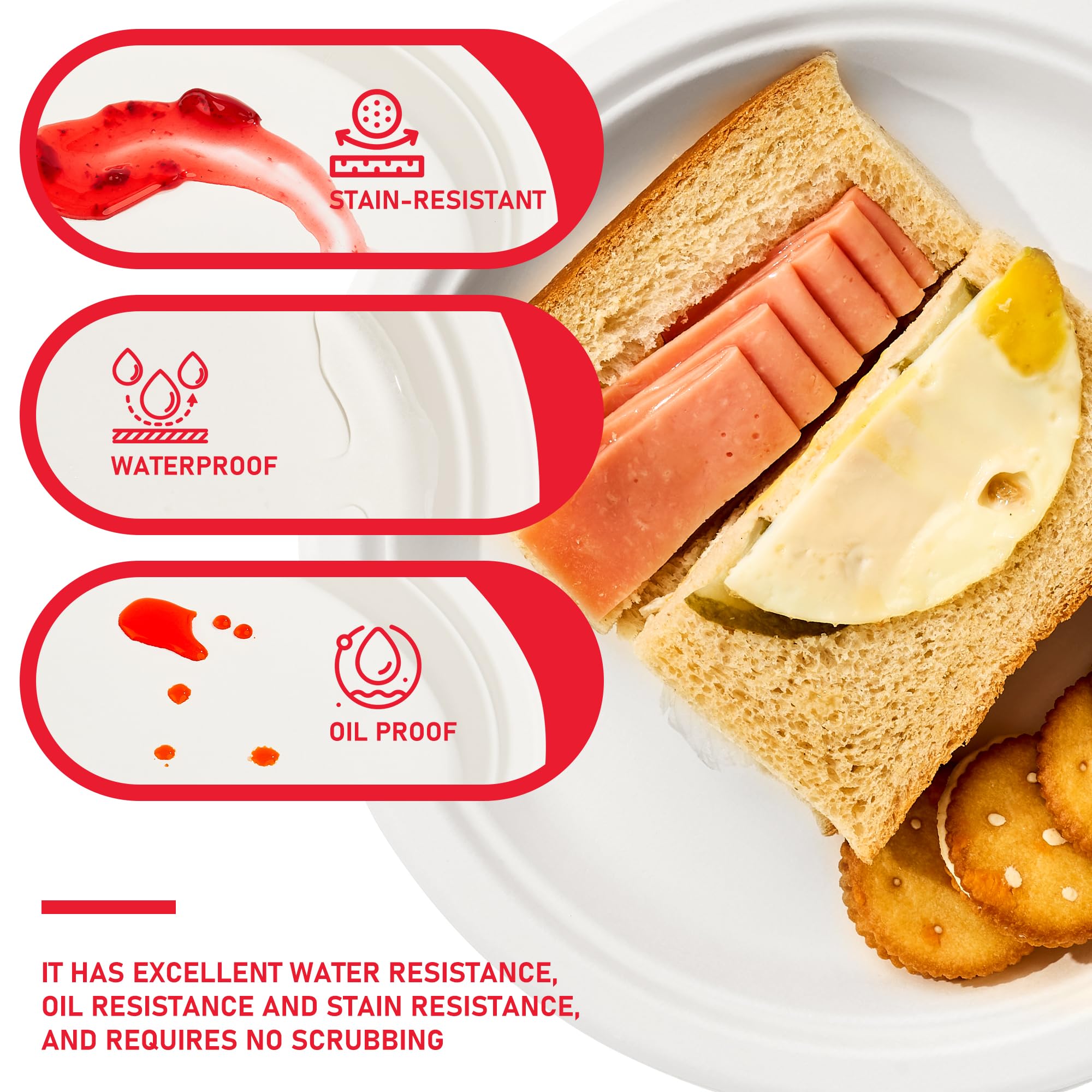 VPACKDUO plate holding a full meal showing sturdy performance