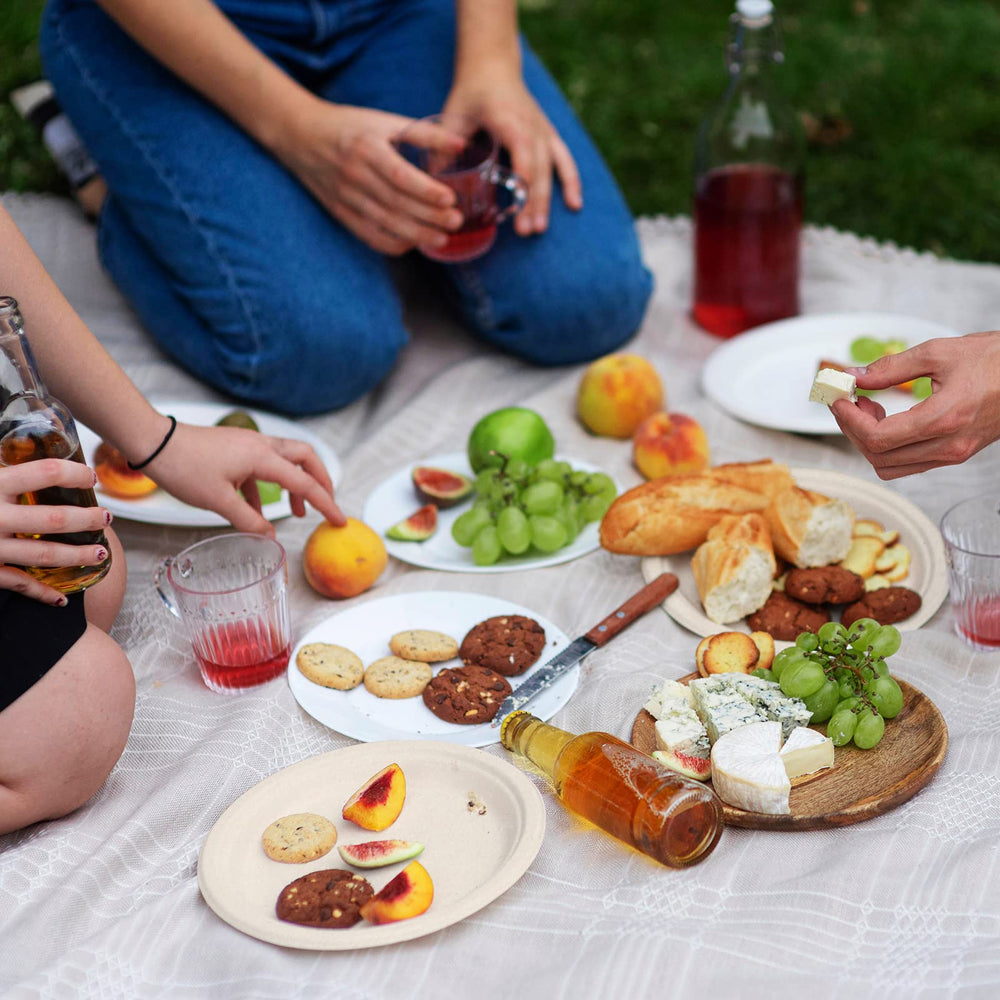 Vplus plates on outdoor BBQ table showing disposable convenience