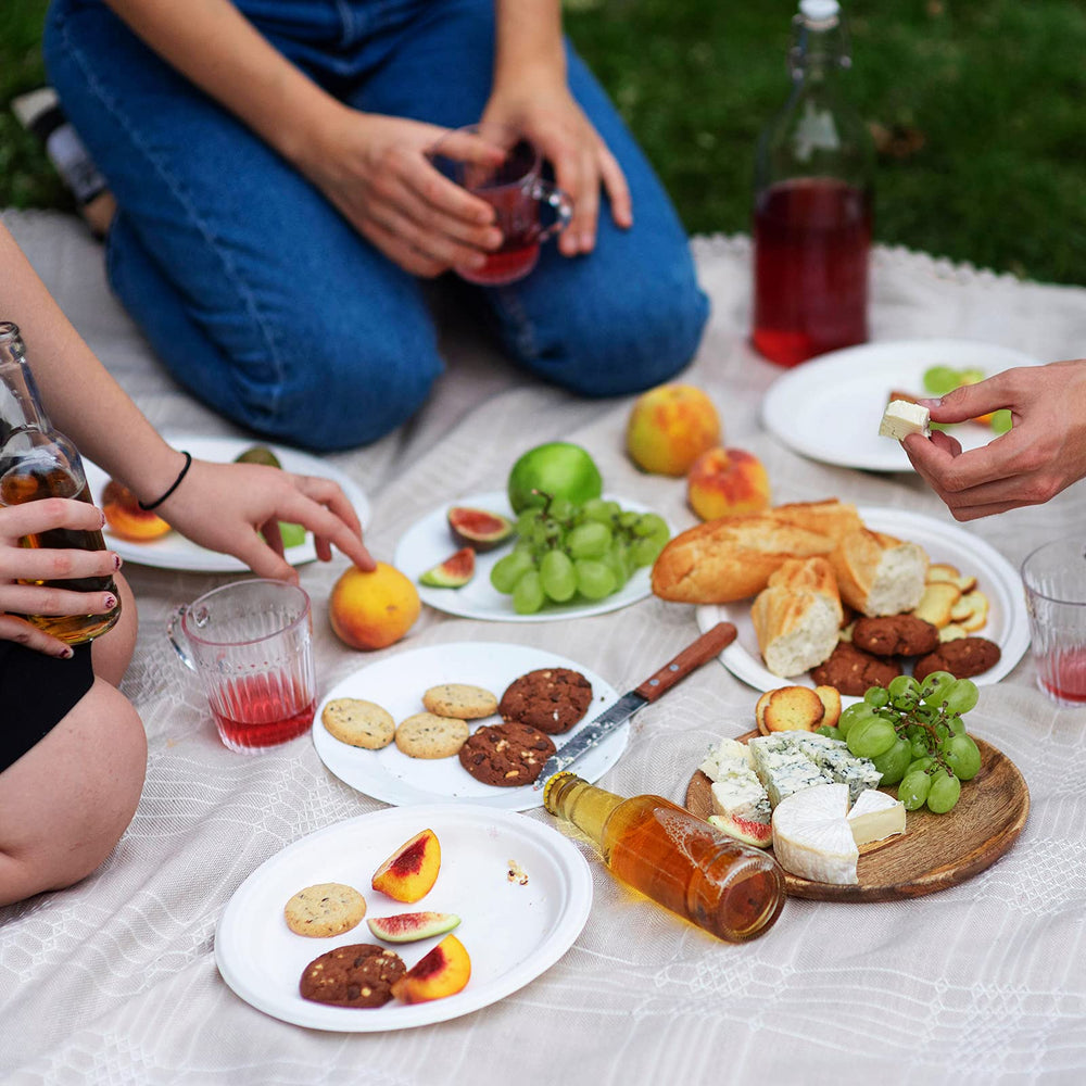Vplus plate on picnic table in outdoor setting showing event readiness