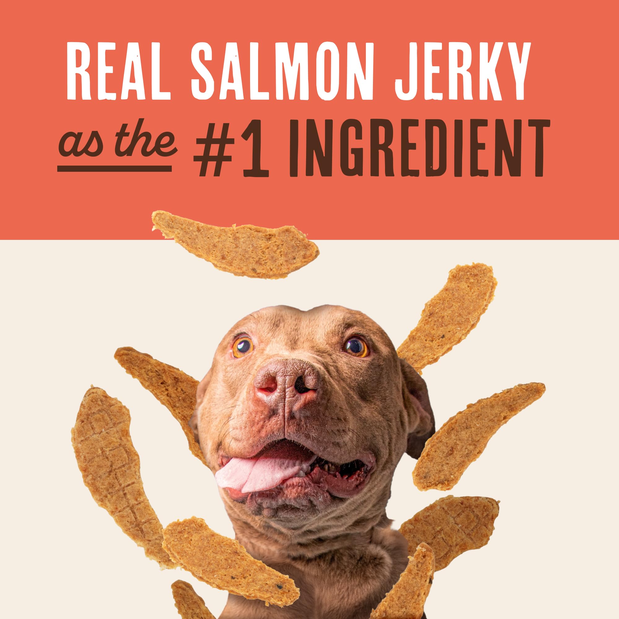 Waggin' Train salmon jerky in bowl ready to serve for convenience