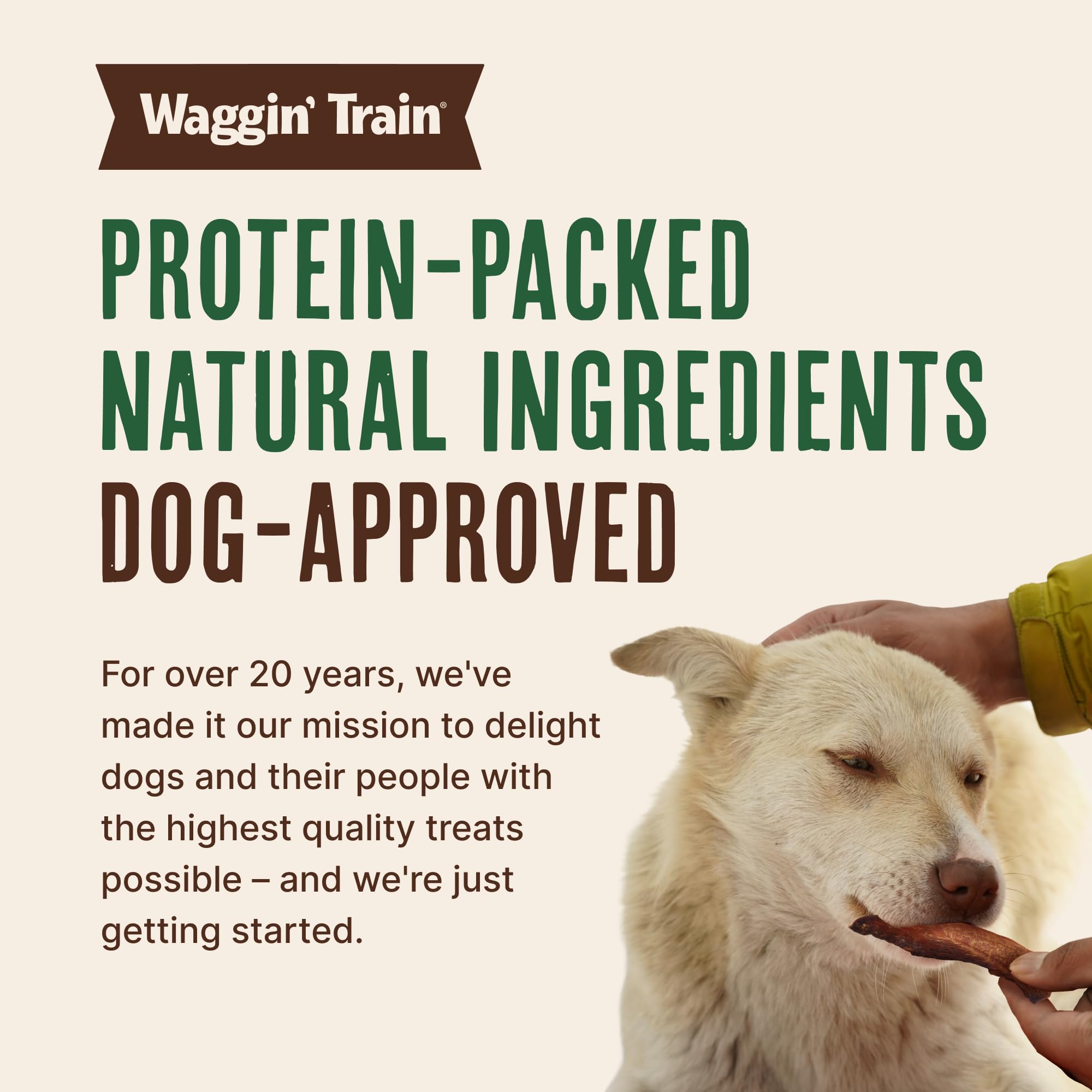 Dog owner giving Waggin' Train salmon jerky outdoors showing enjoyment