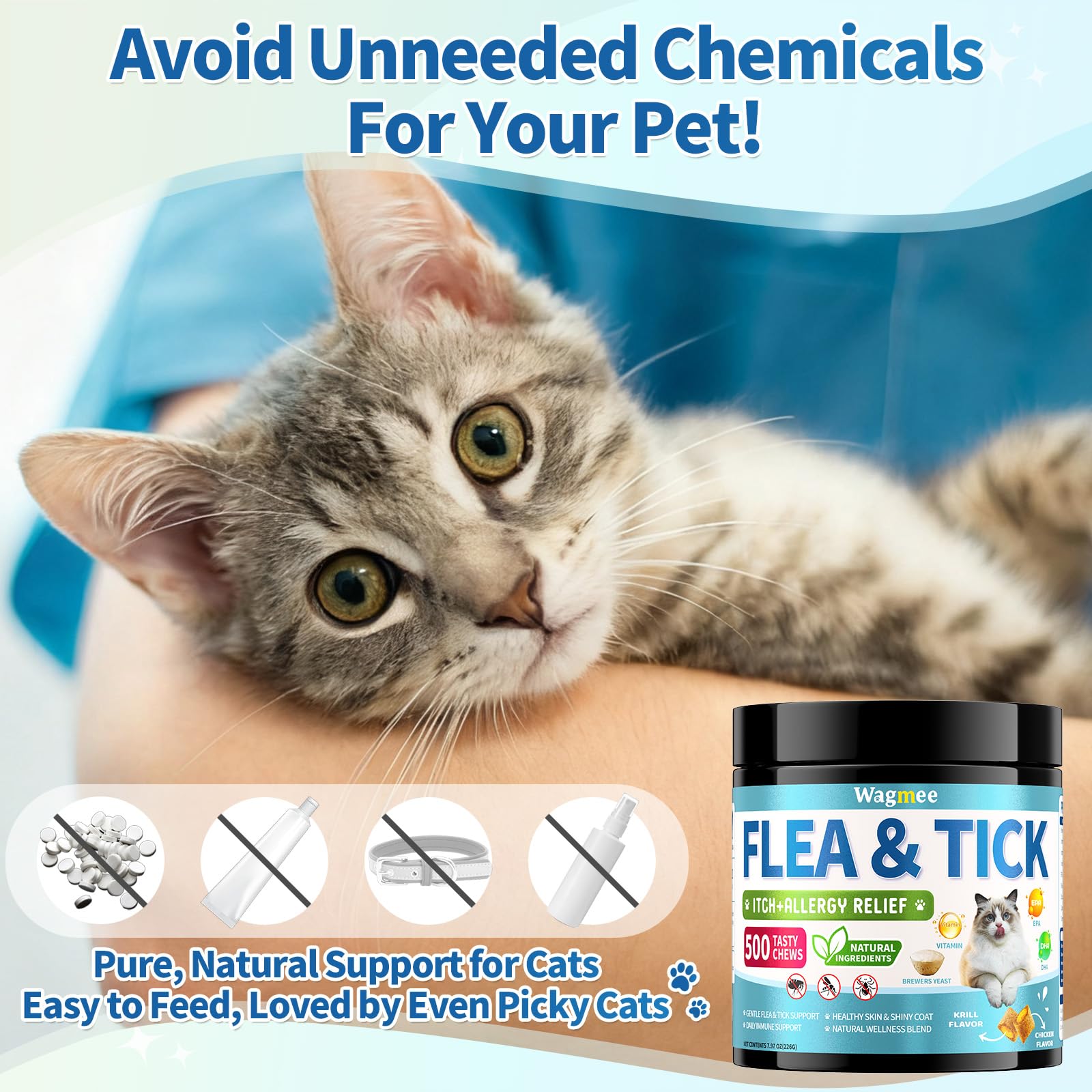 Cat eating Wagmee chew from hand demonstrating palatable flavor and simple administration