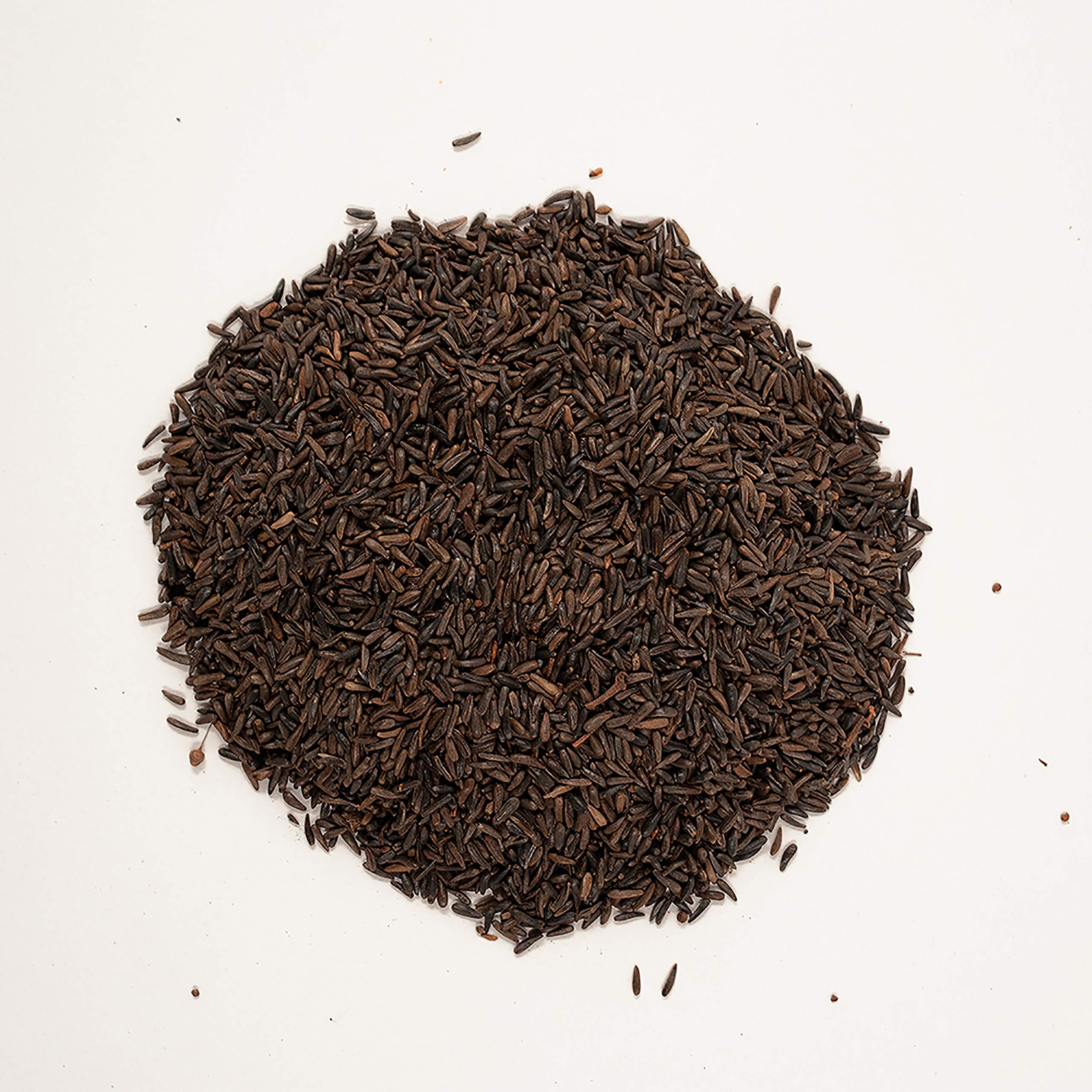 Wagner's nyjer seed in a tube feeder demonstrating easy bird access