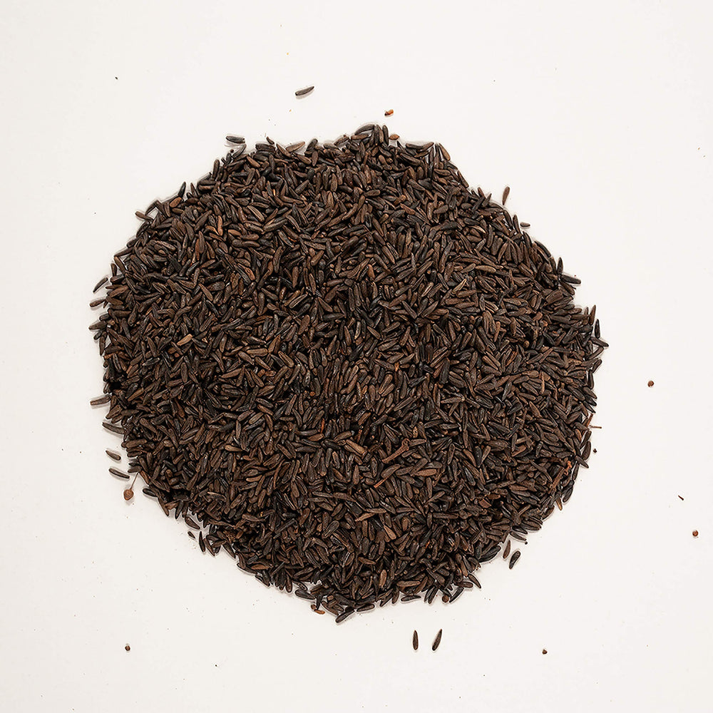 Wagner's nyjer seed in a tube feeder demonstrating easy bird access